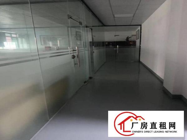  南栅新出原房东厂房2楼整层800平方带豪华办公室装修无公摊