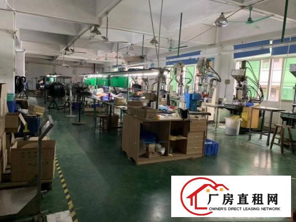  南栅新出原房东厂房2楼整层800平方带豪华办公室装修无公摊