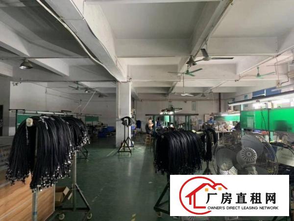  南栅新出原房东厂房2楼整层800平方带豪华办公室装修无公摊