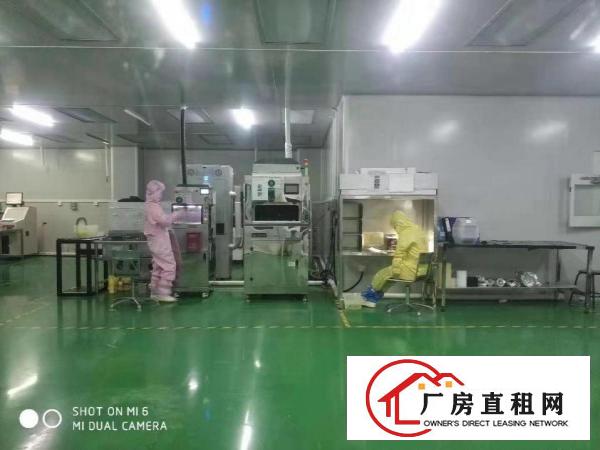  笋！诚邀口罩合作伙伴！6000平方豪装十万级无尘车间出租啦！