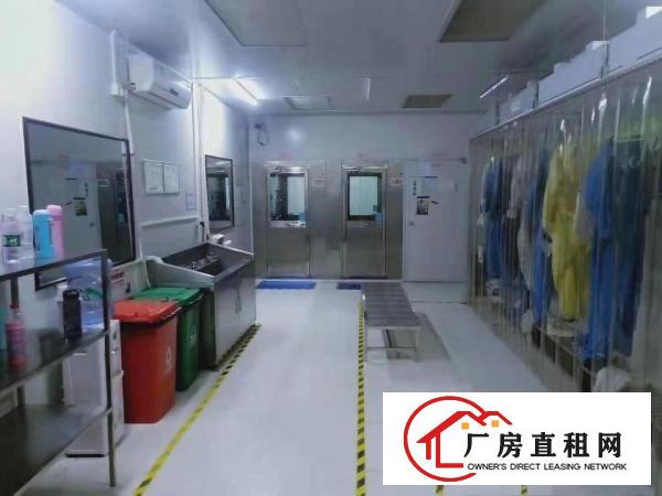  笋！诚邀口罩合作伙伴！6000平方豪装十万级无尘车间出租啦！