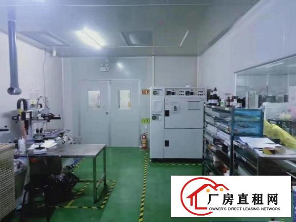  笋！诚邀口罩合作伙伴！6000平方豪装十万级无尘车间出租啦！