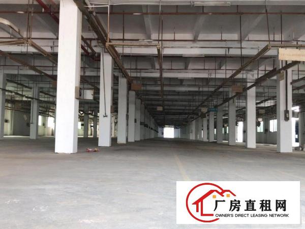  低价出租虎门居岐广兴博腾产业园一二楼6000方
