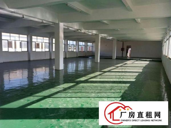  虎门树田新出2楼带装修700平方厂房出租