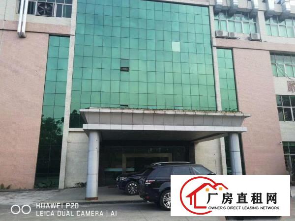  免租期长虎门小捷窖新出豪华装修一楼2800平方厂房出租