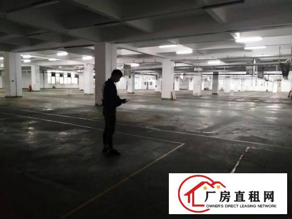  免租期长虎门小捷窖新出豪华装修一楼2800平方厂房出租
