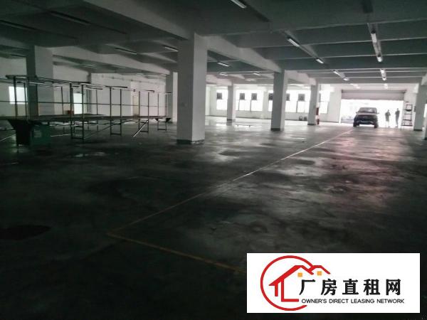  免租期长虎门小捷窖新出豪华装修一楼2800平方厂房出租