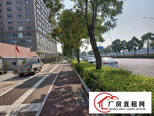  独院虎门白沙长堤路单一层办公室一应俱全