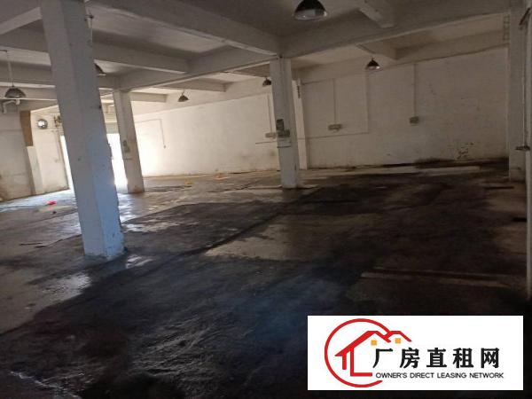  独院虎门白沙长堤路单一层办公室一应俱全