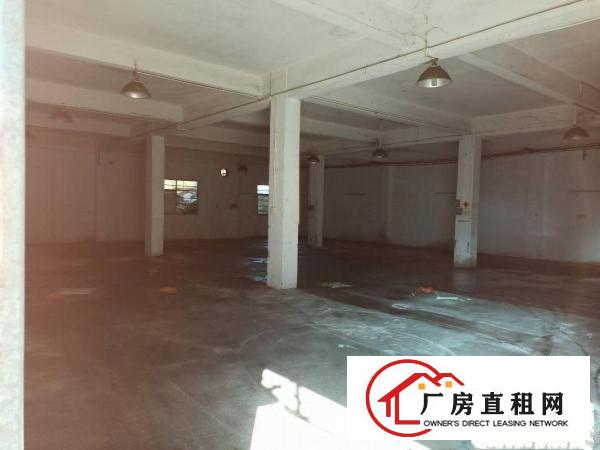  独院虎门白沙长堤路单一层办公室一应俱全
