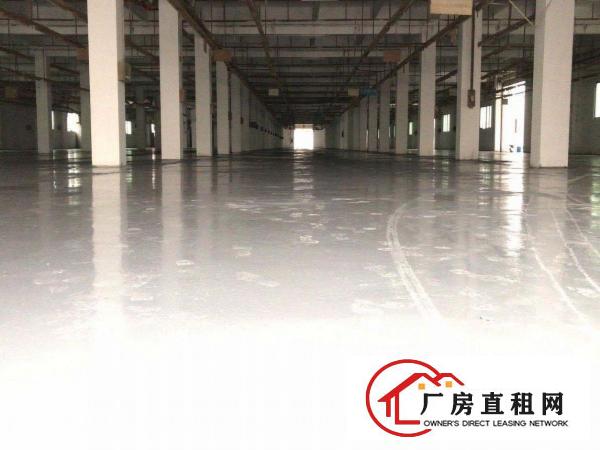  虎门镇原房东精典独院厂房8000平出租，大小可分租