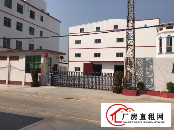  虎门镇原房东精典独院厂房一二楼500平起分带装修好过环评