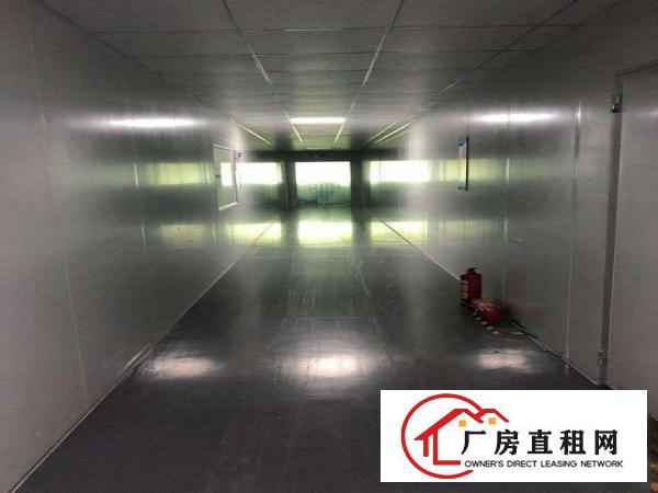  靓！虎门超大空地独院厂房3900平，原房东分2000可办环保