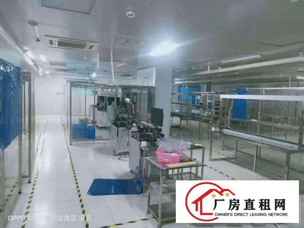  靓！虎门超大空地独院厂房3900平，原房东分2000可办环保
