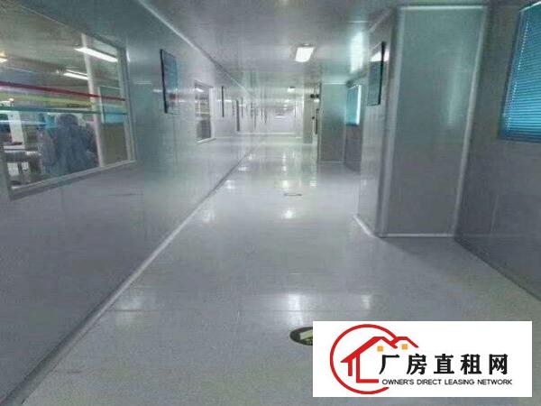 靓！虎门超大空地独院厂房3900平，原房东分2000可办环保