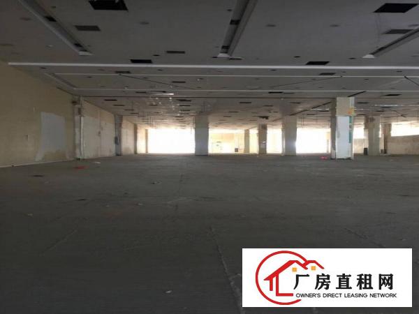  虎门白沙创兴路26号高大尚园区层高10米停车方便
