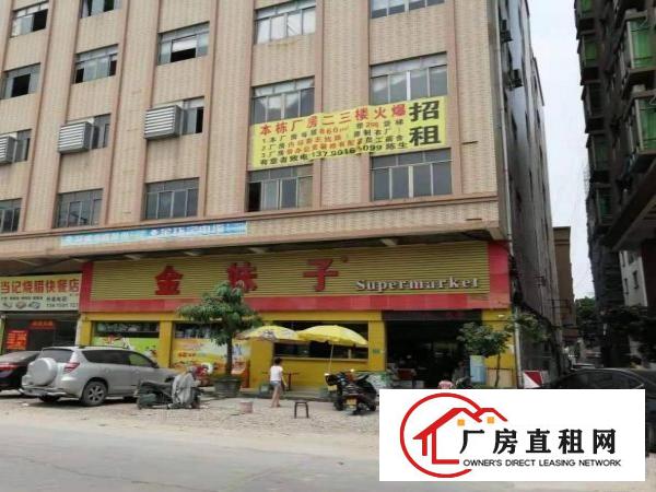  白沙四村中心路45号金妹子楼上带装修水电主线路到车间