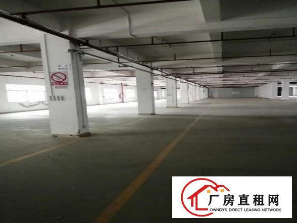  原房东厂房分租一楼1600平方，二楼1600平方，面积实在