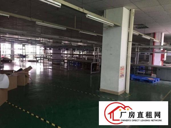  原房东厂房分租一楼1600平方，二楼1600平方，面积实在
