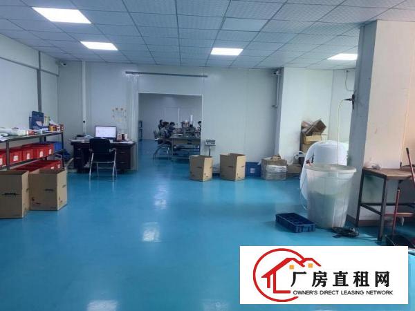  虎门路东新空出1楼2楼厂房首层高5.5米每层860平