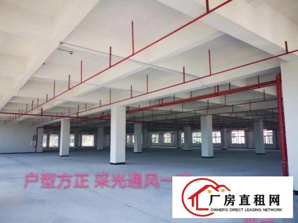  花园式全新重工厂房，免租6个月。特价招租