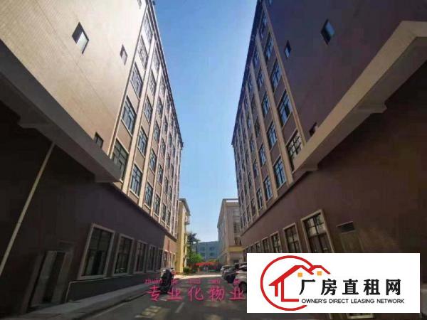  花园式全新重工厂房，免租6个月。特价招租