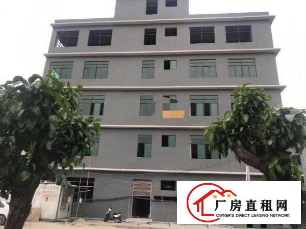  虎门北栅陈村工业区新建厂房整层1900平