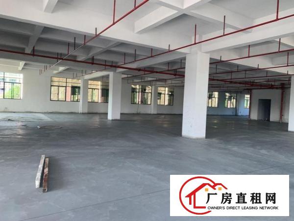  虎门北栅陈村工业区新建厂房整层1900平