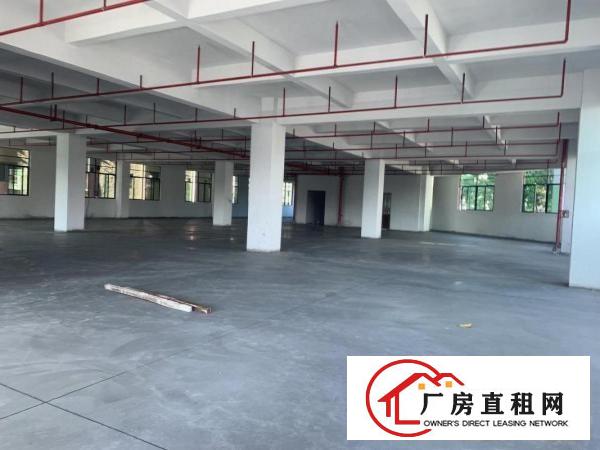  虎门北栅陈村工业区新建厂房整层1900平