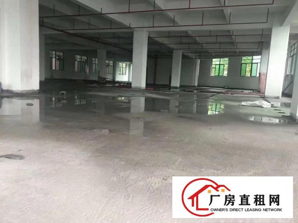  虎门北栅陈村工业区新建厂房整层1900平