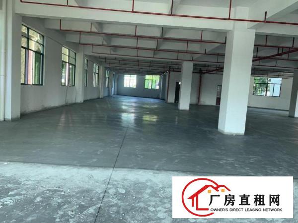  虎门北栅陈村工业区新建厂房整层1900平