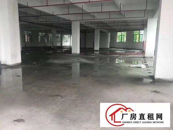  虎门北栅陈村工业区新建厂房整层1900平