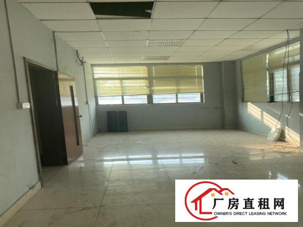  6块6块6块全虎门超便宜的厂房出租吧