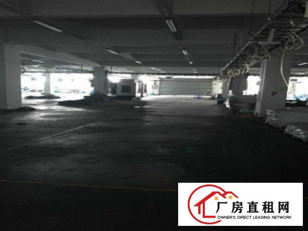 笋！无公摊可办环评！原房东5.5米2000平豪装1楼出租啦！
