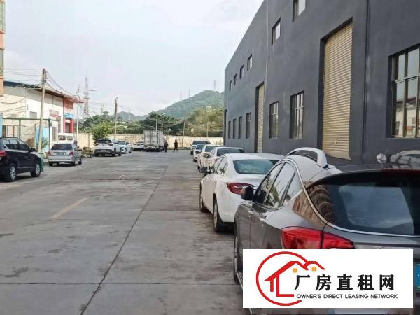  虎门树田原房东单一层全新12米钢构厂房8400平