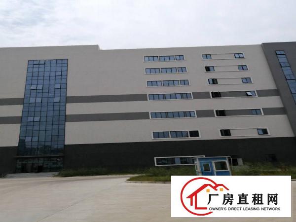  免租12个月！免租12个月！全新豪华装修厂房出租啦！