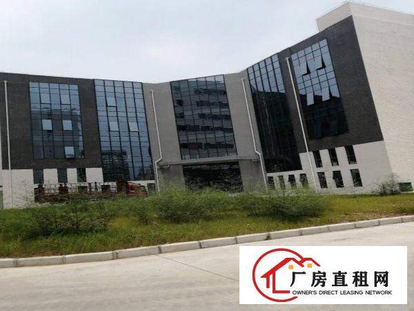  免租12个月！免租12个月！全新豪华装修厂房出租啦！