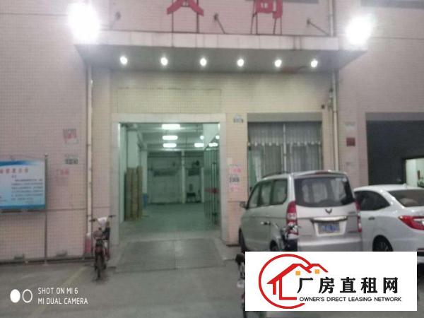  长安乌沙一楼1000平米厂房出租(带装修)出租楼层高