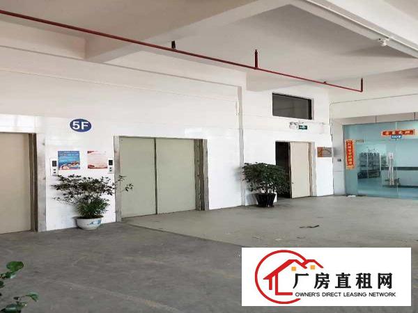  业主直租长安镇涌头带装修厂房三楼500平拎包生产