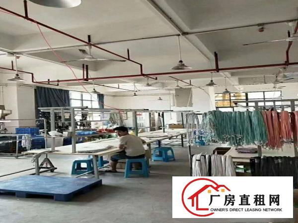  业主直租长安镇涌头带装修厂房三楼500平拎包生产