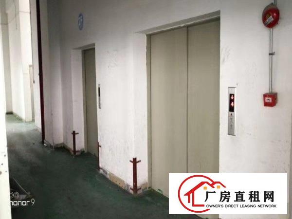  长安乌沙大润发旁楼上300平起租电子厂房已分割好