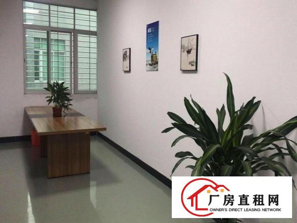  长安沙头市场旁标准厂房单层800平厂房出租上沙乌沙