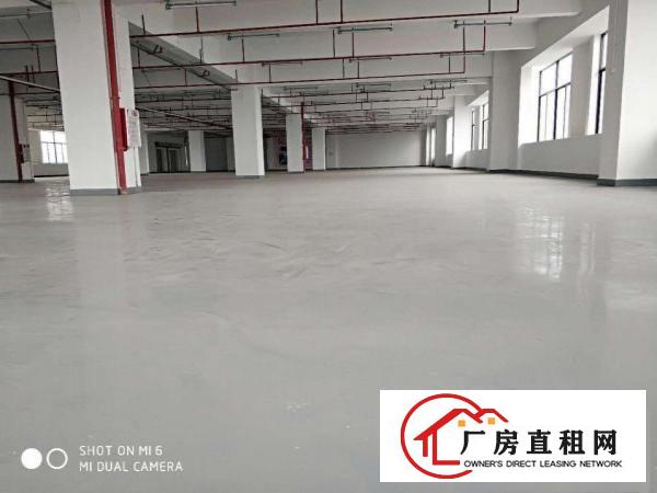  长安上沙原房东楼上带装修厂房1200平厂房出租可分租