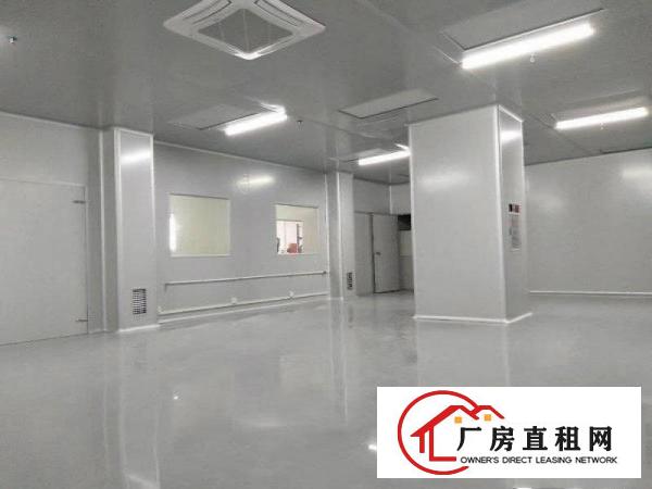  （出租)长安乌沙新出无尘车间1000平，水电齐全不堵车