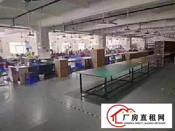  出租长安上沙新出楼上1200平豪华装修厂房红本厂房