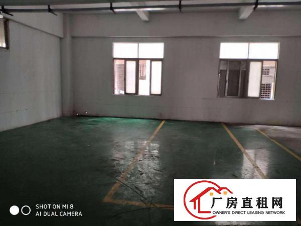  长安沙头东大路附近一楼380平.二楼550平出租