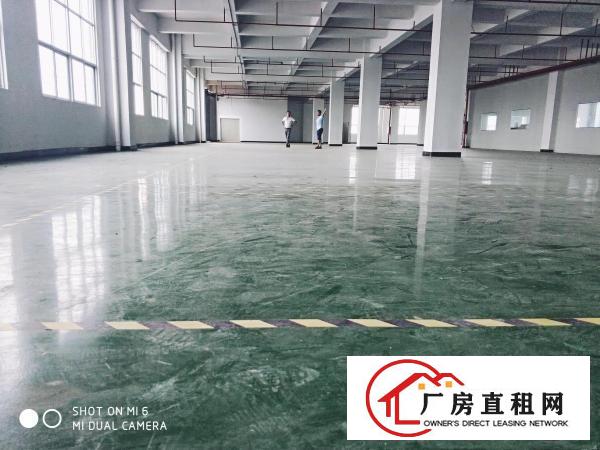  长安乌沙新出整层精装修水电齐全原房东1200平厂房出租