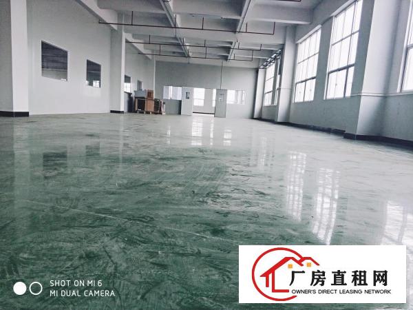  长安乌沙新出整层精装修水电齐全原房东1200平厂房出租