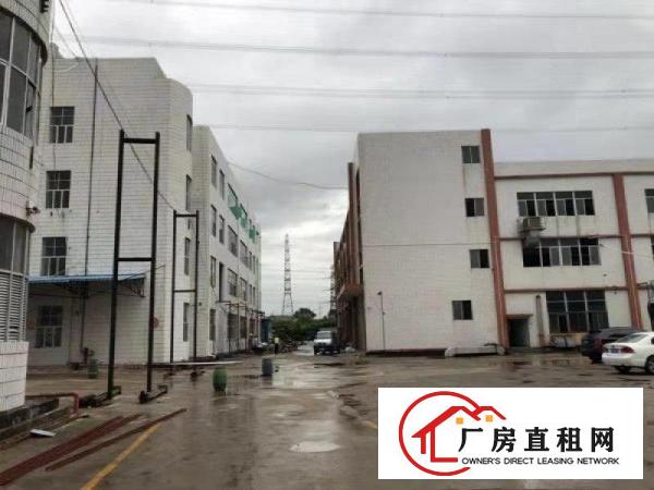  长安新民新出电镀工业厂房2680平方招租（可分租）