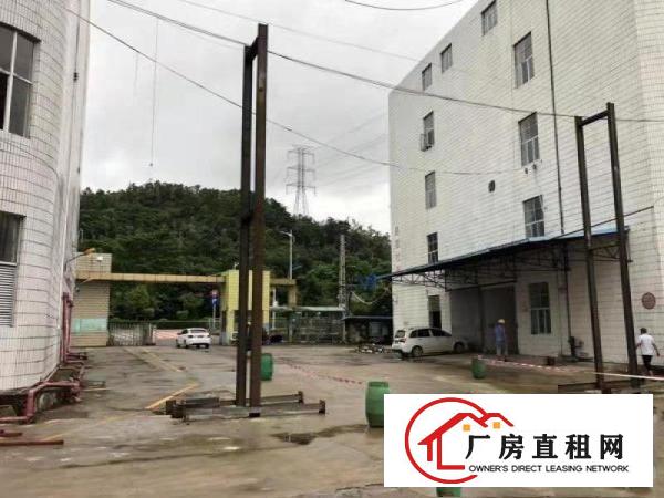  长安新民新出电镀工业厂房2680平方招租（可分租）
